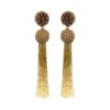 Degrade Long Tassel Earrings
