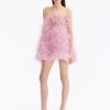 Strapless Feather Embroidered Mini Dress