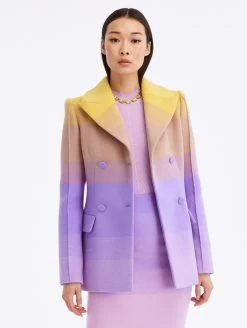 Ombré Double Breasted Jacket