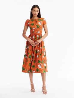 Morning Glory Cotton Poplin Dress